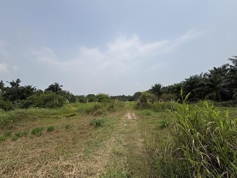 Residential Land for Sale in Kampung Bukit Changgang (Tanjong Duabelas) - Hafiz Yaacob - Exterior - PropertyGuru.com.my