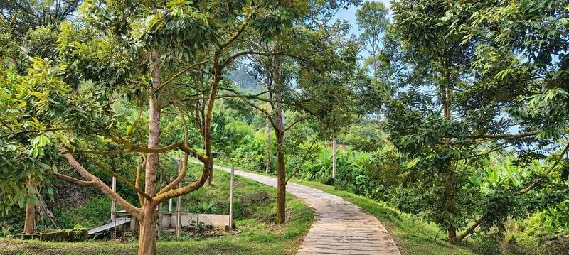 Tanah Pertanian untuk Dijual di Bentong (Pahang) - Vincent Goh - Exterior - PropertyGuru.com.my