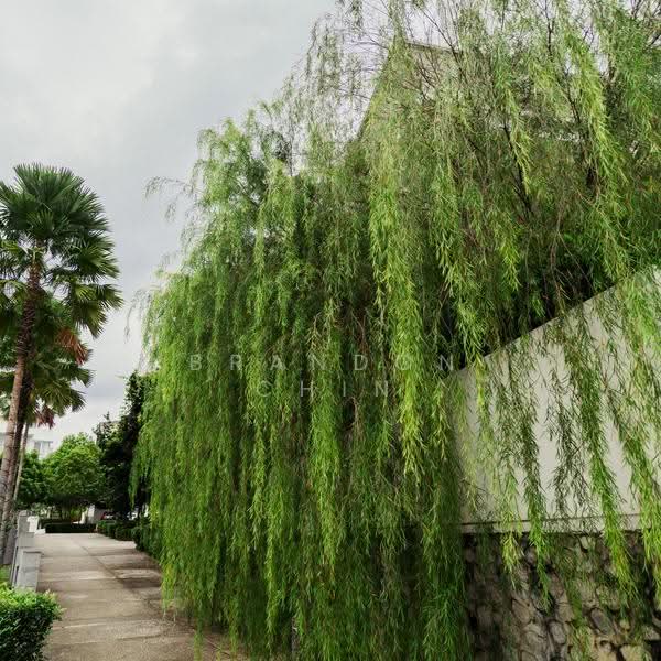 Semi-Detached House for Sale in Ampang Jaya (Ampang) - Brandon Chin - PropertyGuru.com.my