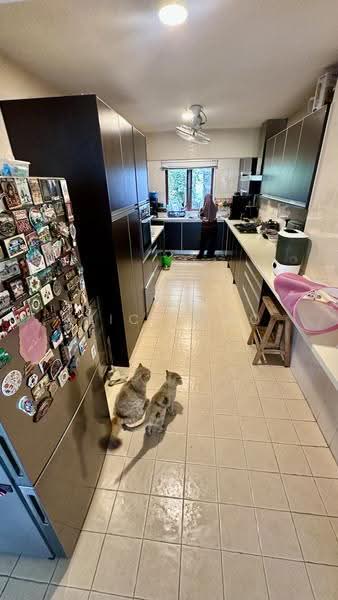 Kondominium untuk Dijual di Ukay Bayu - Alice Moo - Kitchen - PropertyGuru.com.my