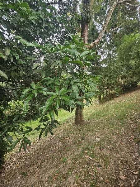 Semi-Detached House for Sale in Damansara Jaya (Petaling Jaya) - Bryan Wong - Garden - PropertyGuru.com.my