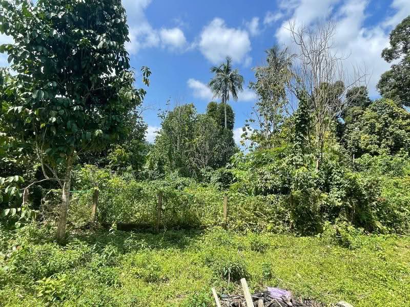 Tanah Kediaman untuk Dijual di Dungun (Terengganu) - Muhammad Najmi - Exterior - PropertyGuru.com.my