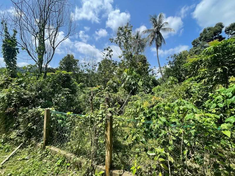 Tanah Kediaman untuk Dijual di Dungun (Terengganu) - Muhammad Najmi - Exterior - PropertyGuru.com.my