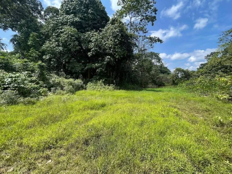 Tanah Kediaman untuk Dijual di Dungun (Terengganu) - Muhammad Najmi - Exterior - PropertyGuru.com.my
