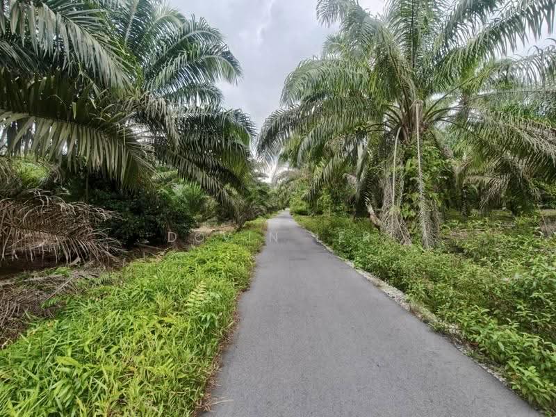 Agricultural Land for Sale in Kampung Rimba Terjun (Pontian) - Dovin Ler - Exterior - PropertyGuru.com.my