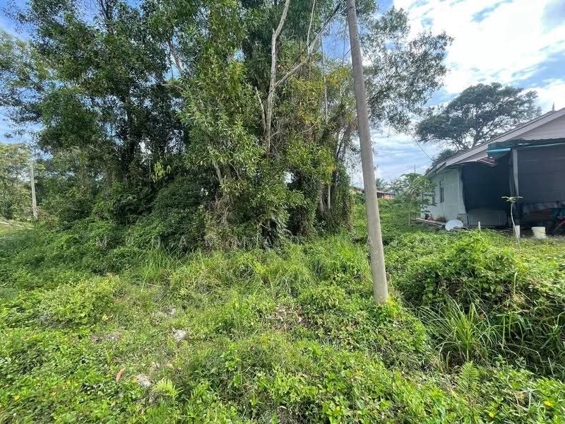 Tanah Kediaman untuk Dijual di Dungun (Terengganu) - Muhammad Najmi - Exterior - PropertyGuru.com.my