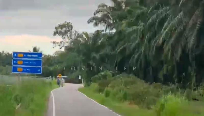 Agricultural Land for Sale in Pontian (Johor) - Dovin Ler - PropertyGuru.com.my