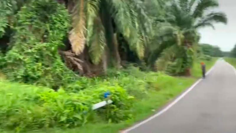 Agricultural Land for Sale in Pontian (Johor) - Dovin Ler - Exterior - PropertyGuru.com.my