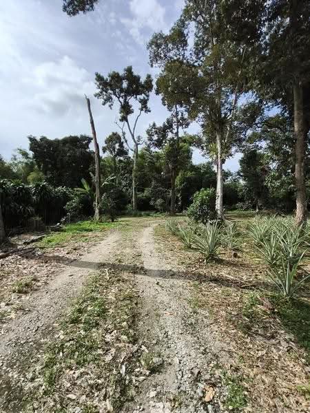 Tanah Pertanian untuk Dijual di Balik Pulau (Penang) - CH Yeoh - Exterior - PropertyGuru.com.my
