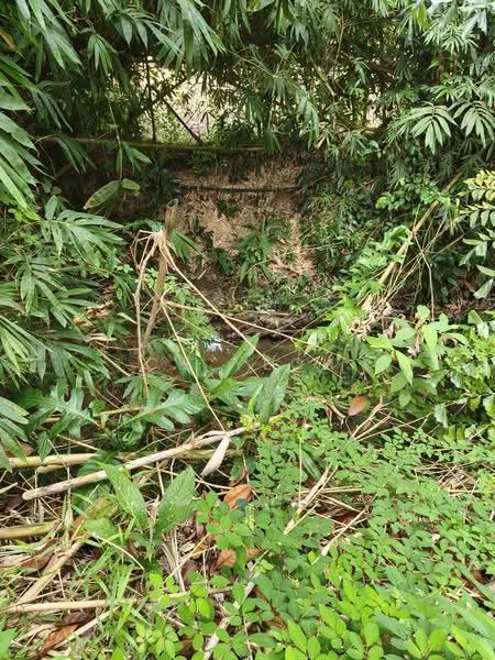 Tanah Pertanian untuk Dijual di Balik Pulau (Penang) - CH Yeoh - Exterior - PropertyGuru.com.my