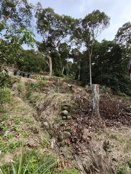 Tanah Pertanian untuk Dijual di Balik Pulau (Penang) - CH Yeoh - Exterior - PropertyGuru.com.my