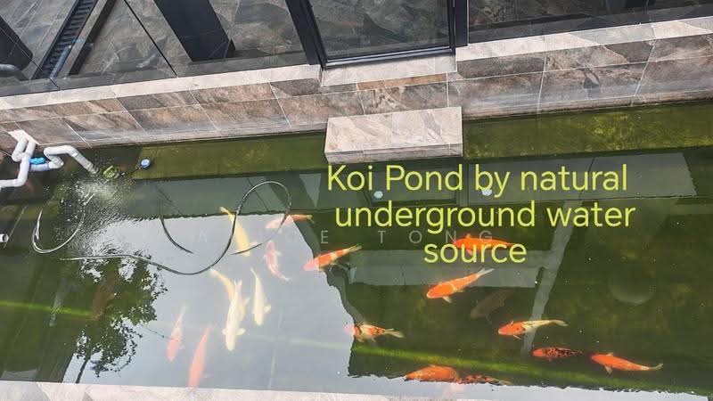 Rumah Banglo untuk Dijual di Petaling Jaya (Selangor) - Alice Tong - Garden - PropertyGuru.com.my