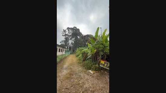 Agricultural Land for Rent in Ulu Bernam (Selangor) - Justine Hoo - PropertyGuru.com.my
