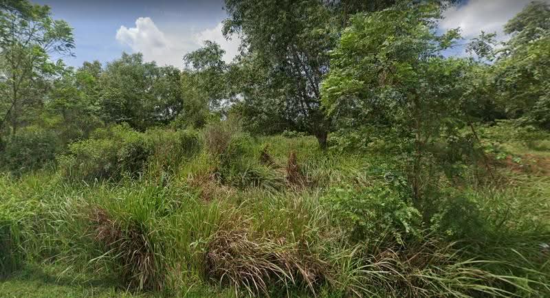 Agricultural Land for Sale in Kampung Pulau Meranti (Puchong) - Tracy Leong - Exterior - PropertyGuru.com.my