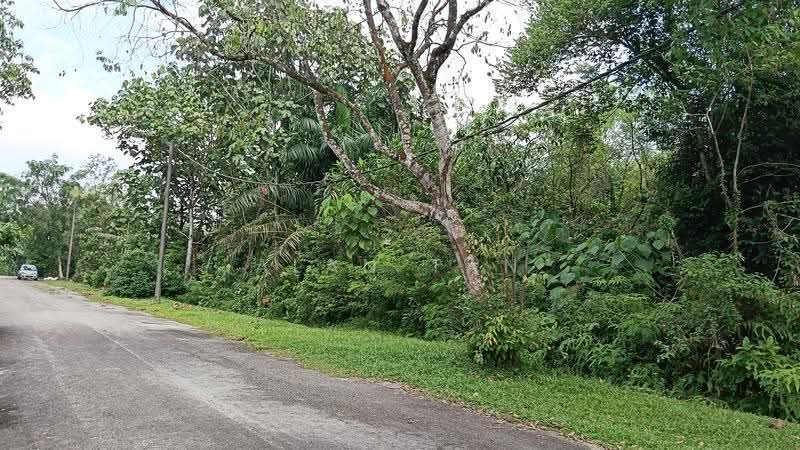 Residential Land for Sale in Bandar Bukit Beruntung (Bukit Beruntung) - Alan Tan - Exterior - PropertyGuru.com.my
