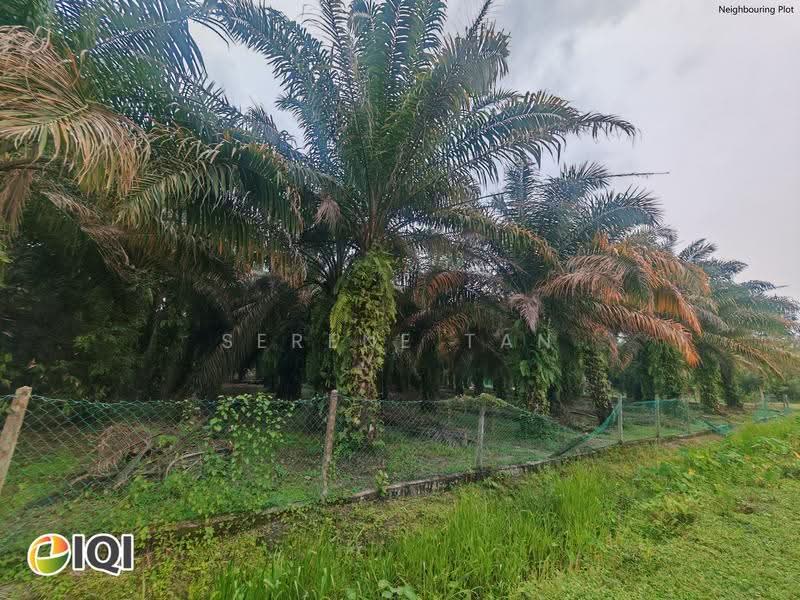 Lain-lain untuk Dijual di Kamunting (Perak) - Serene Tan - Neighboring Site Photo - PropertyGuru.com.my