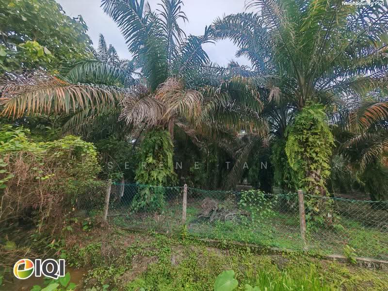 Lain-lain untuk Dijual di Kamunting (Perak) - Serene Tan - Neighboring Site Photo - PropertyGuru.com.my
