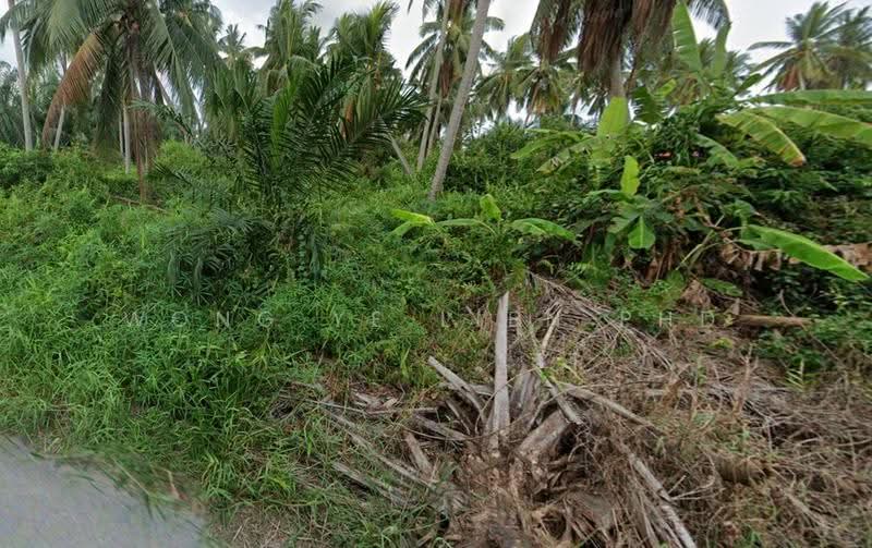 Tanah Kediaman untuk Dijual di Kapar (Selangor) - Wong Ye Lien PhD - Garden - PropertyGuru.com.my