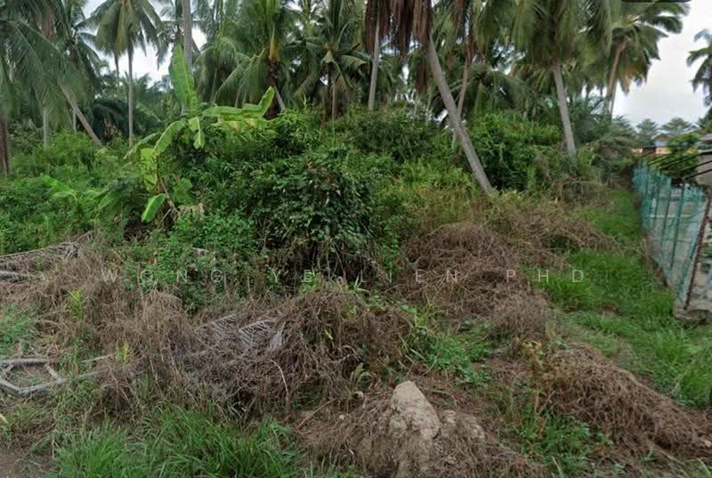 Tanah Kediaman untuk Dijual di Kapar (Selangor) - Wong Ye Lien PhD - Exterior - PropertyGuru.com.my