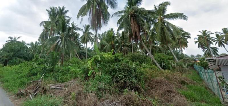 Tanah Kediaman untuk Dijual di Kapar (Selangor) - Wong Ye Lien PhD - Exterior - PropertyGuru.com.my