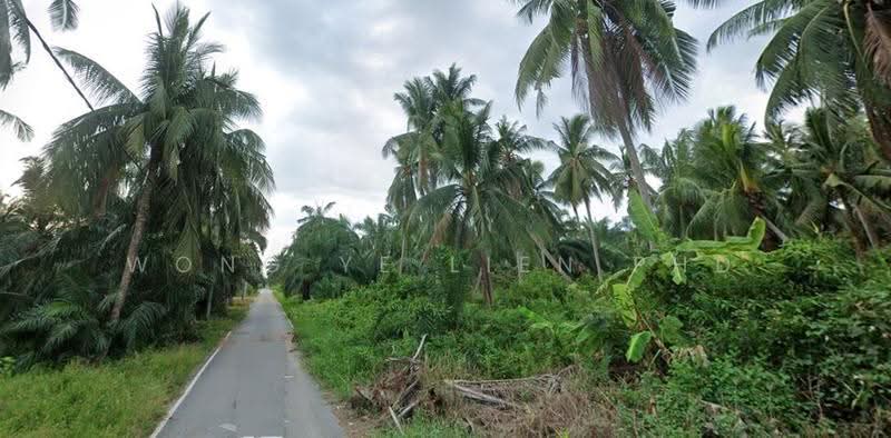 Tanah Kediaman untuk Dijual di Kapar (Selangor) - Wong Ye Lien PhD - Exterior - PropertyGuru.com.my