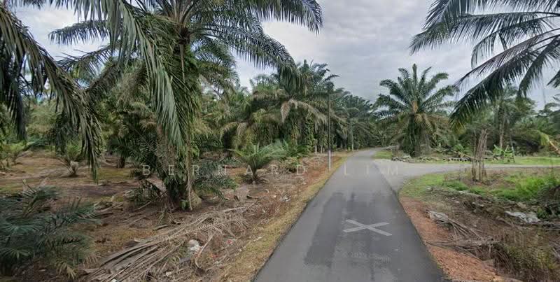Tanah Pertanian untuk Dijual di Pekan Nanas (Johor) - Bernard Lim - Exterior - PropertyGuru.com.my