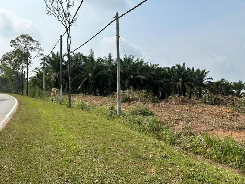 Tanah Pertanian untuk Dijual di Kulai (Johor) - Angel Tan - Exterior - PropertyGuru.com.my