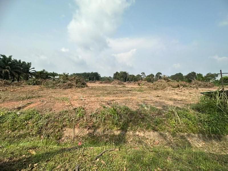 Tanah Pertanian untuk Dijual di Kulai (Johor) - Angel Tan - Exterior - PropertyGuru.com.my