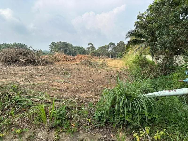 Tanah Pertanian untuk Dijual di Kulai (Johor) - Angel Tan - Exterior - PropertyGuru.com.my