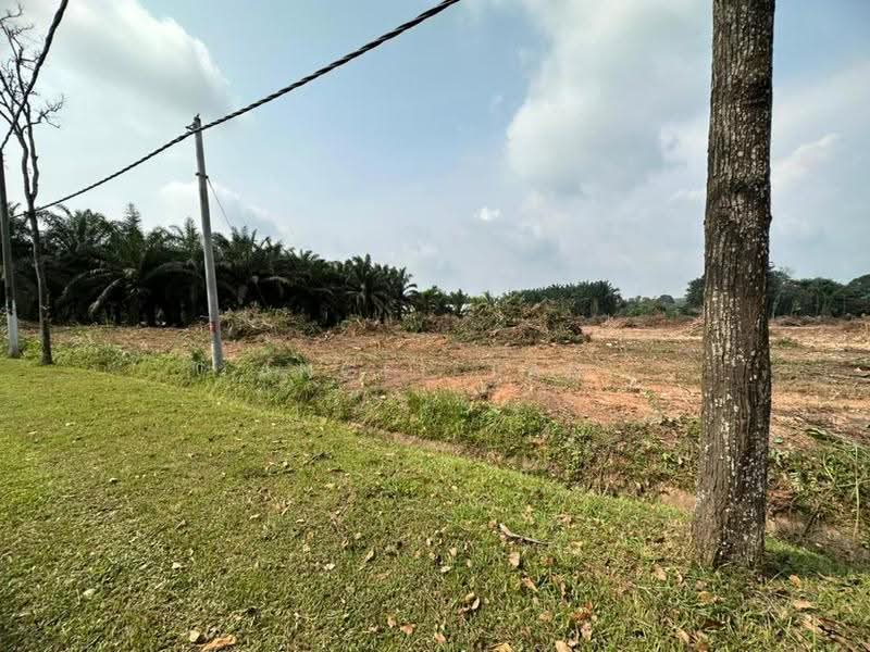 Tanah Pertanian untuk Dijual di Kulai (Johor) - Angel Tan - Exterior - PropertyGuru.com.my