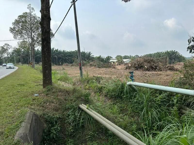 Tanah Pertanian untuk Dijual di Kulai (Johor) - Angel Tan - Exterior - PropertyGuru.com.my