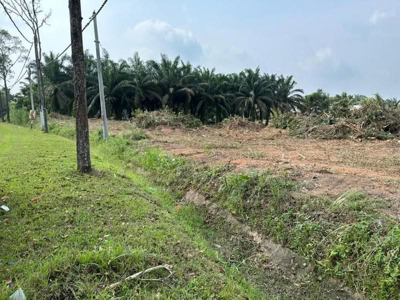Tanah Pertanian untuk Dijual di Kulai (Johor) - Angel Tan - Exterior - PropertyGuru.com.my