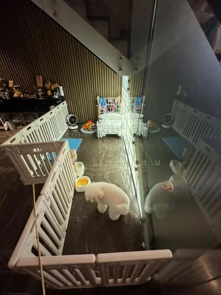 Terraced House for Sale in The Mansions (Desa Parkcity) - Ong Shi Hua - Interior - PropertyGuru.com.my