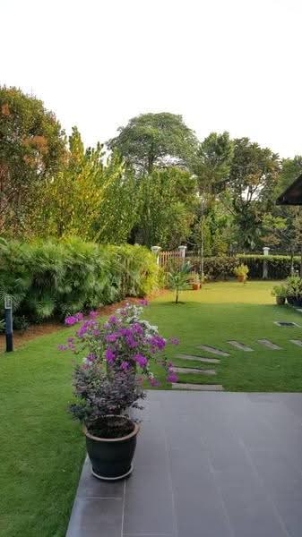 Bungalow House untuk Dijual di Setia Eco Park (Setia Alam) - Janice Tang - PropertyGuru.com.my