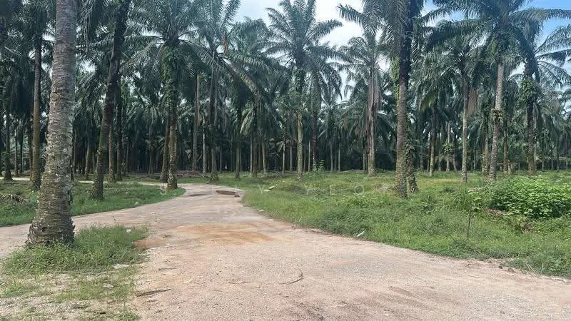 Tanah Perindustrian untuk Dijual di Taman Perindustrian Senai (Senai) - Sally Yeok - PropertyGuru.com.my