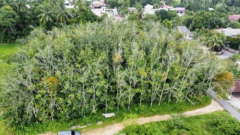 Residential Land for Sale in Ketereh (Kelantan) - NIK AZWAN - Exterior - PropertyGuru.com.my