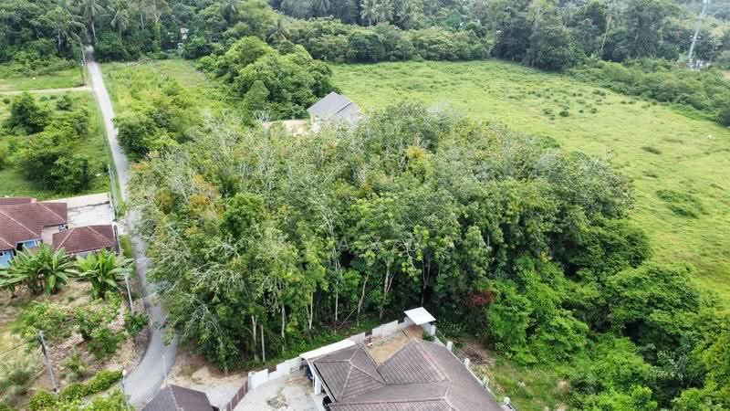Residential Land for Sale in Ketereh (Kelantan) - NIK AZWAN - Exterior - PropertyGuru.com.my