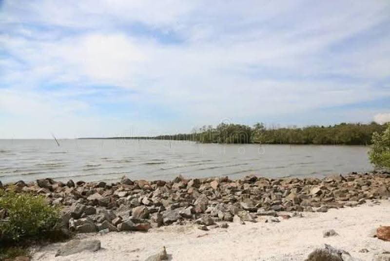 Commercial Land for Sale in Sabak Bernam (Selangor) - John Khoo - Exterior - PropertyGuru.com.my