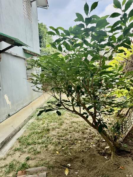 1.5-storey Terraced House for Sale in Taman Teluk Pulai (Klang) - Mala Palanisamy - Exterior - PropertyGuru.com.my