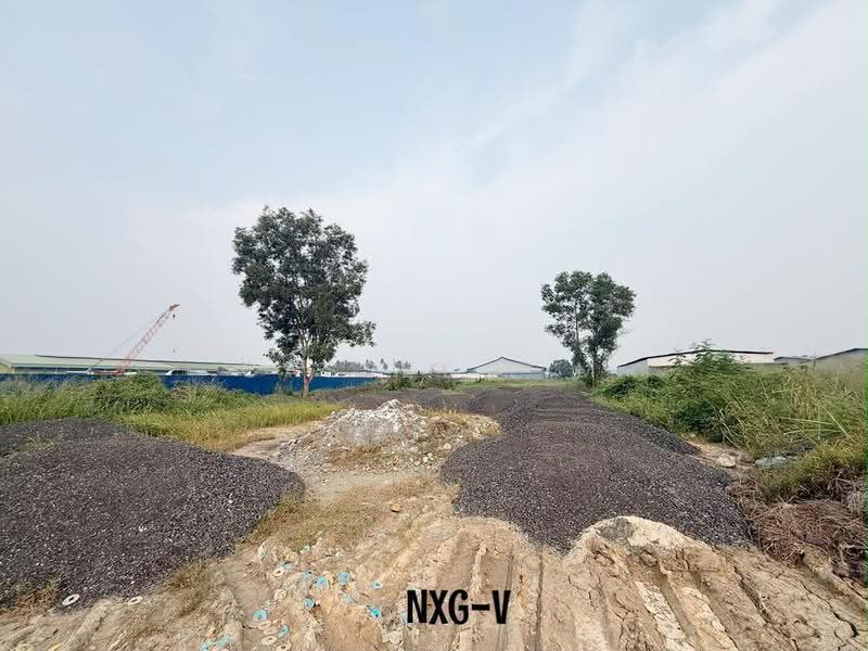 Industrial Land for Rent in Port Klang (Pelabuhan Klang) (Selangor) - Cassey Lim - Exterior - PropertyGuru.com.my