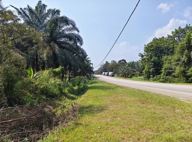 Agricultural Land for Sale in Yong Peng (Johor) - K S Ong - Exterior - PropertyGuru.com.my