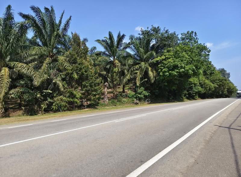 Agricultural Land for Sale in Yong Peng (Johor) - K S Ong - PropertyGuru.com.my