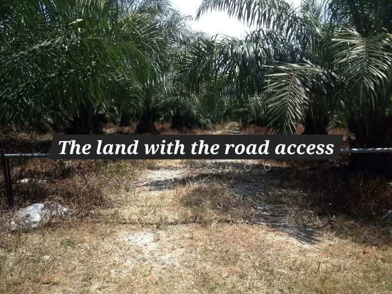 Tanah Pertanian untuk Dijual di Kampung Koh (Sitiawan) - Caiyi Choo - Exterior - PropertyGuru.com.my