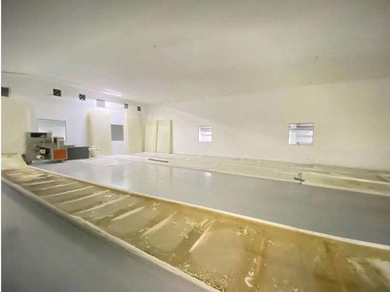 Kilang Terpisah untuk Disewa di Taman Tan Sri Yaacob (Johor Bahru) - Caryn Ter - Interior - PropertyGuru.com.my
