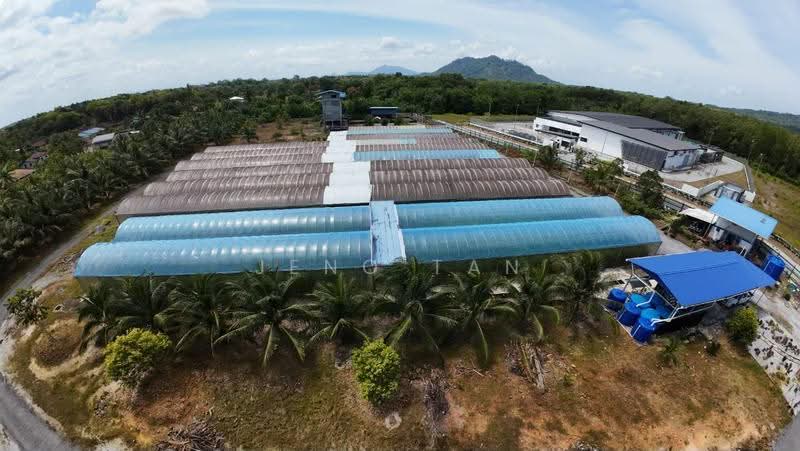 Agricultural Land for Rent in Kuching (Sarawak) - Jeno Tan - PropertyGuru.com.my