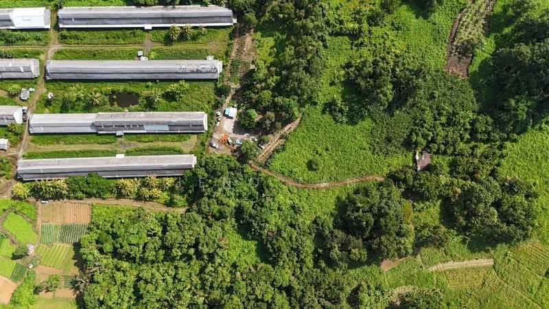 Agricultural Land for Rent in Kuching (Sarawak) - Jeno Tan - Exterior - PropertyGuru.com.my