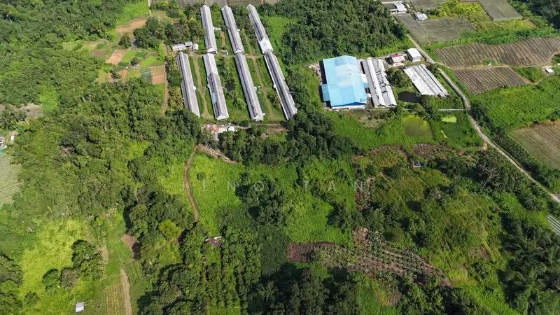 Agricultural Land for Rent in Kuching (Sarawak) - Jeno Tan - Exterior - PropertyGuru.com.my
