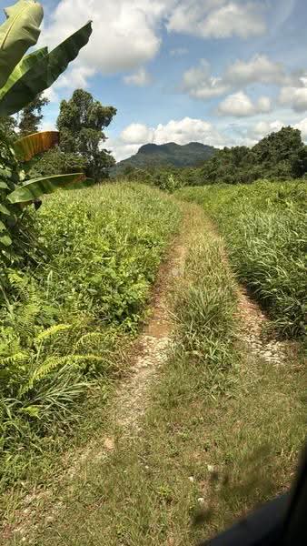 Agricultural Land for Rent in Kuching (Sarawak) - Jeno Tan - Exterior - PropertyGuru.com.my