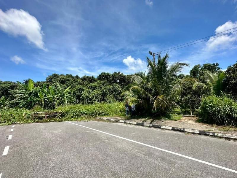 Agricultural Land for Rent in Kuching (Sarawak) - Jeno Tan - Exterior - PropertyGuru.com.my