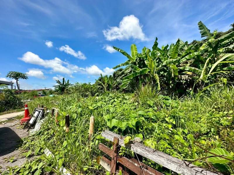 Agricultural Land for Rent in Kuching (Sarawak) - Jeno Tan - Exterior - PropertyGuru.com.my